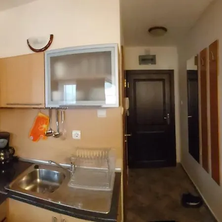 апартамент-студио б4-4-1 божурленд