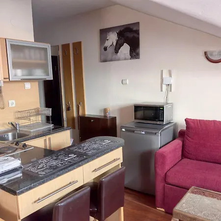 апартамент-студио б4-4-1 божурленд