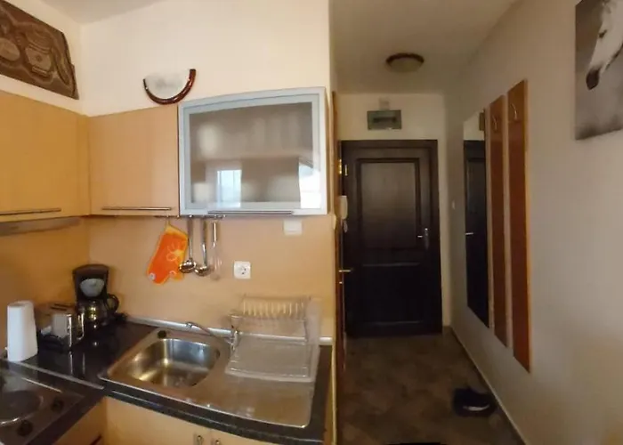 апартамент-студио б4-4-1 божурленд