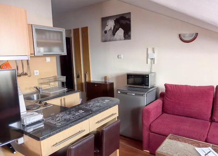 апартамент-студио б4-4-1 божурленд